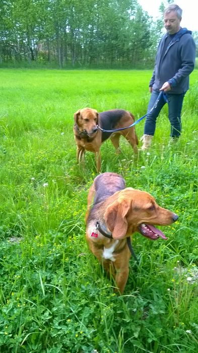 WP_20170521_11_52_41_Pro.jpg