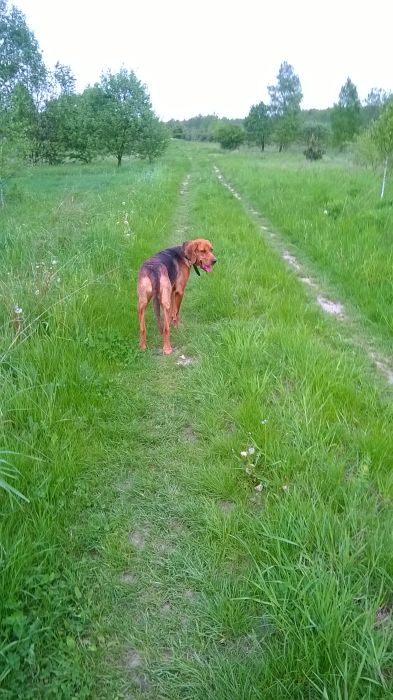 WP_20170521_11_59_38_Pro.jpg