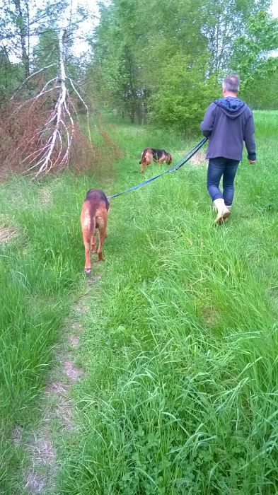 WP_20170521_12_03_46_Pro.jpg