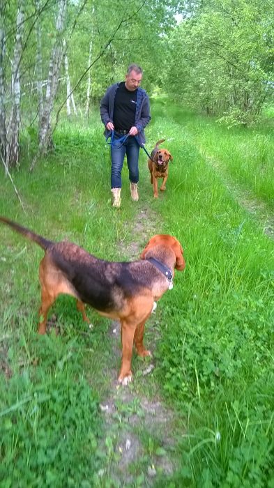WP_20170521_12_04_57_Pro.jpg