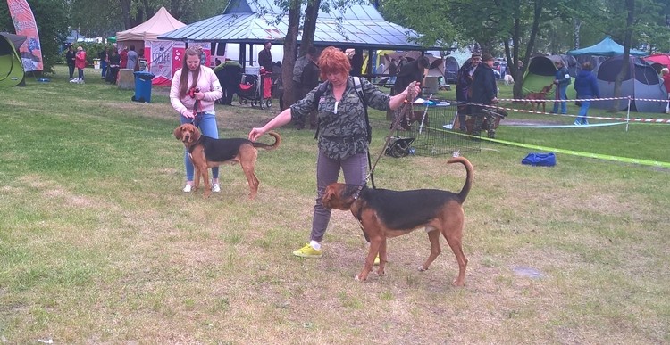 WP_20170521_13_16_20_Pro.jpg