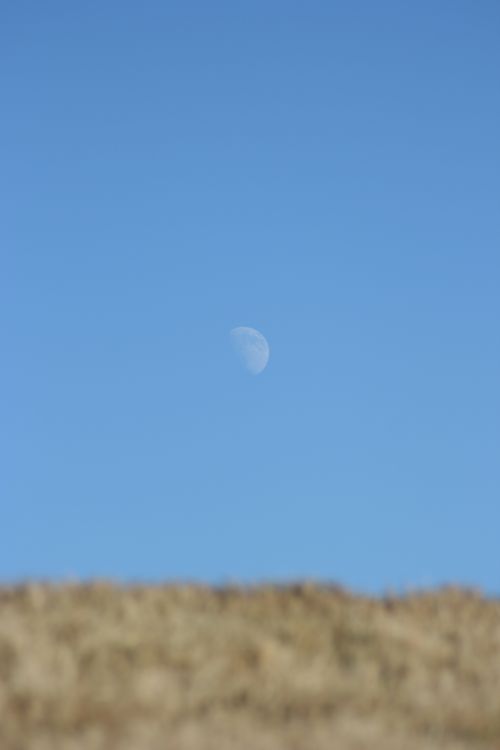 Spacer przy blasku księżyca.