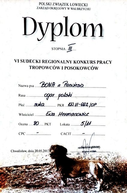Dokumentu 2_3.jpg