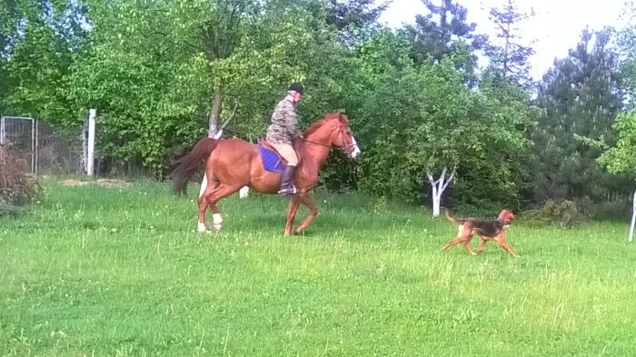 WP_20170522_18_05_15_Pro.jpg
