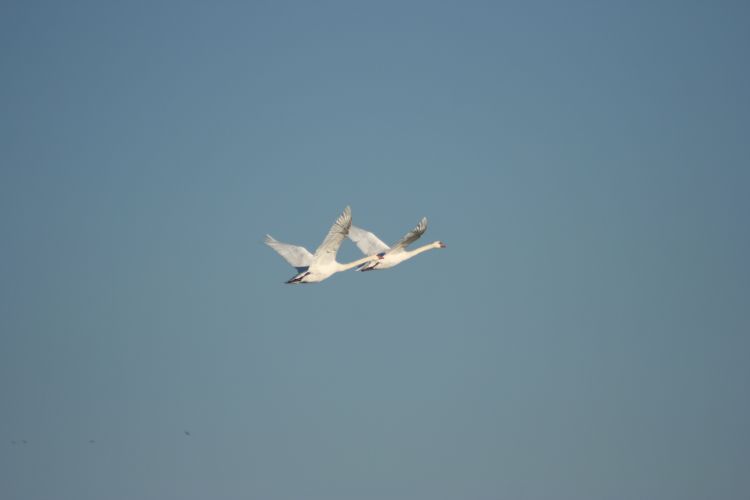 IMG_6265.jpg