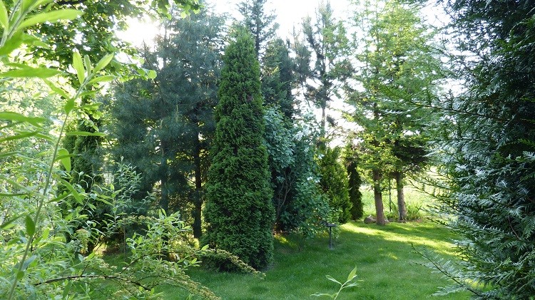 P1060578.JPG