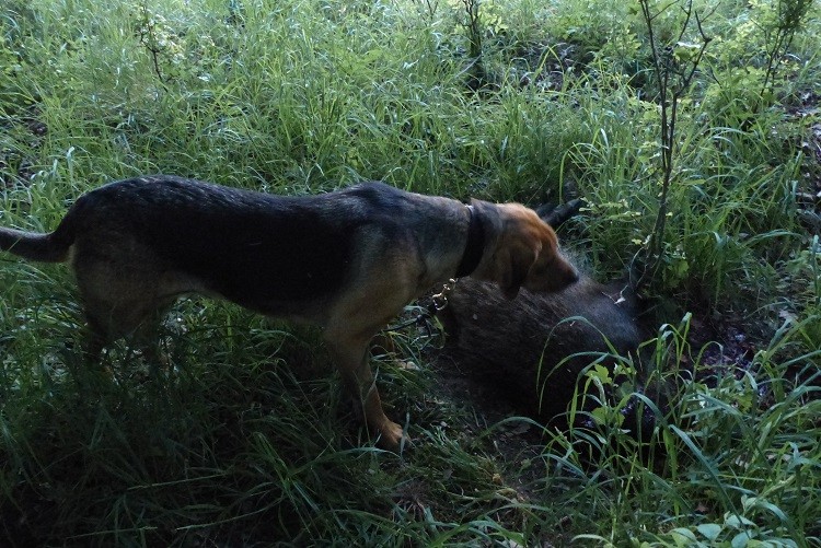 P1070668zm.jpg
