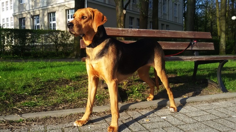 Lalunia zwiedzając pobliskie miasta