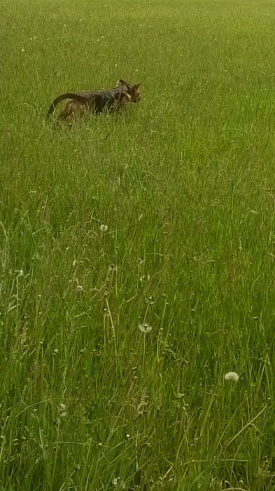 WP_20170527_10_40_52_Pro.jpg
