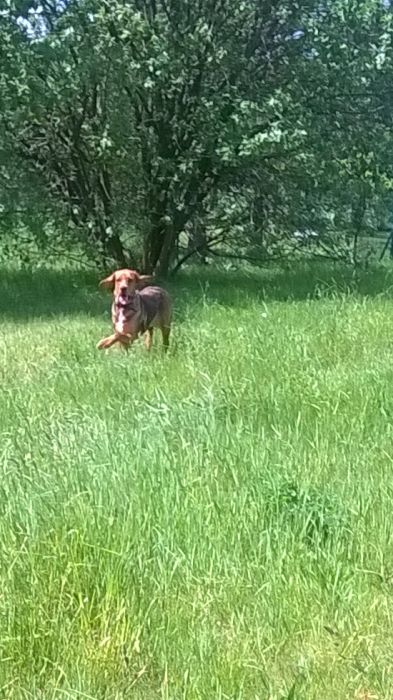 WP_20170527_11_21_30_Pro.jpg
