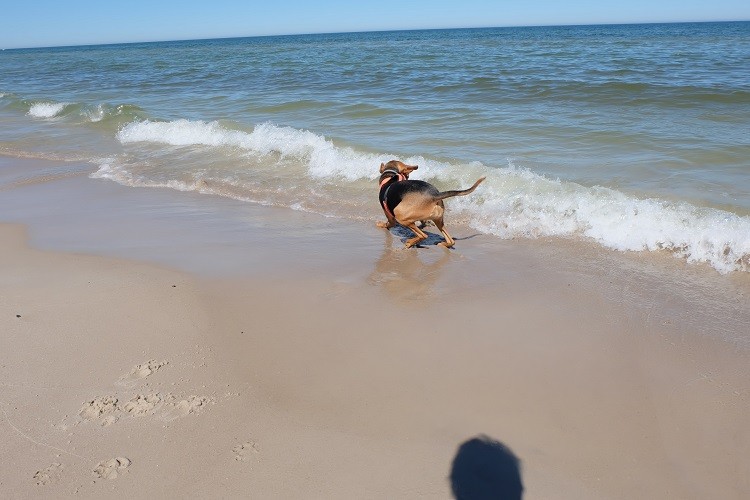 plaża 1.jpg