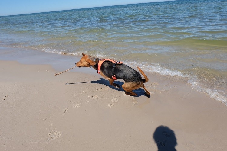 plaża 2.jpg
