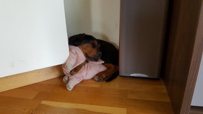 test kolejnego miejsca do spania