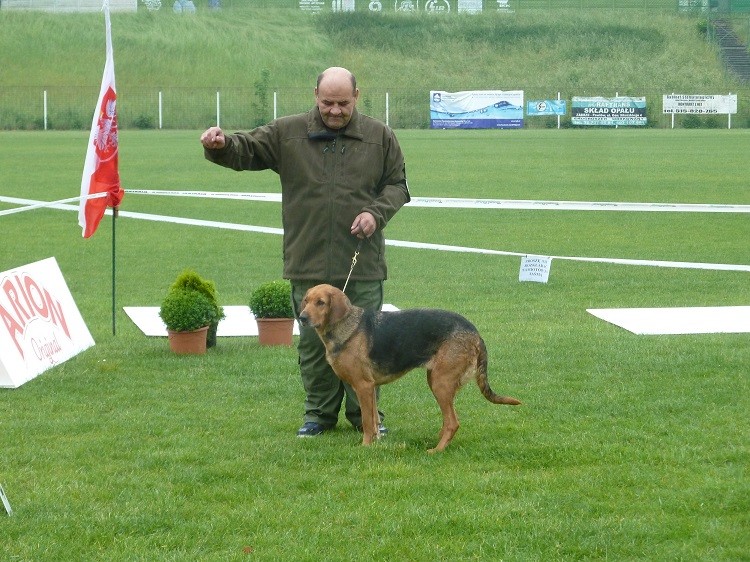 P1060107zm.JPG