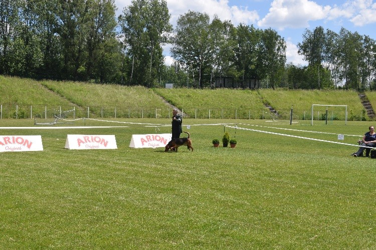 6_BOB _KLASA CHAMPIONÓW.jpg