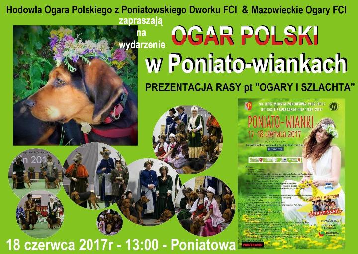 właściwy plakat zmniejszony.jpg
