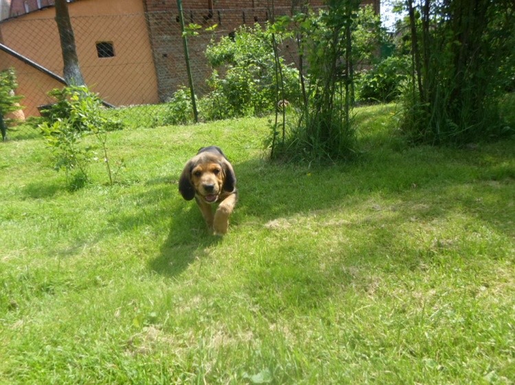 SAM_8147.JPG