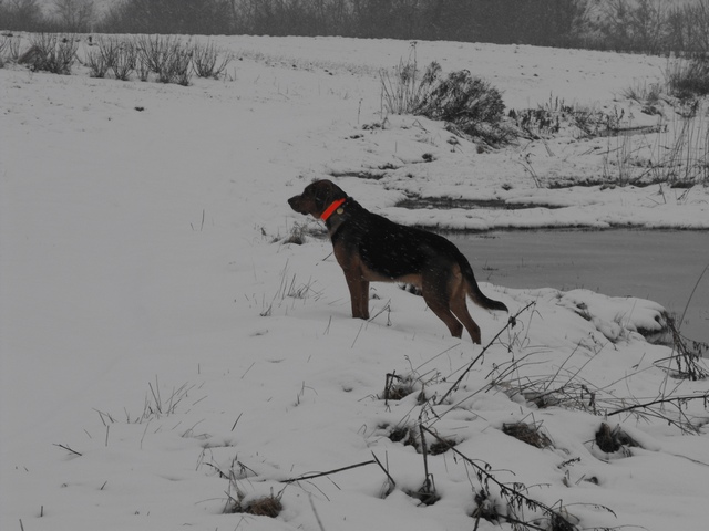 DSCF5024.JPG