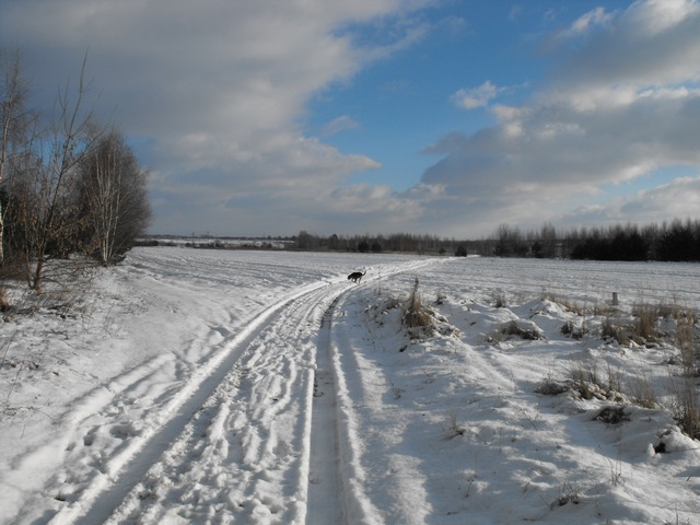 DSCF5025.JPG