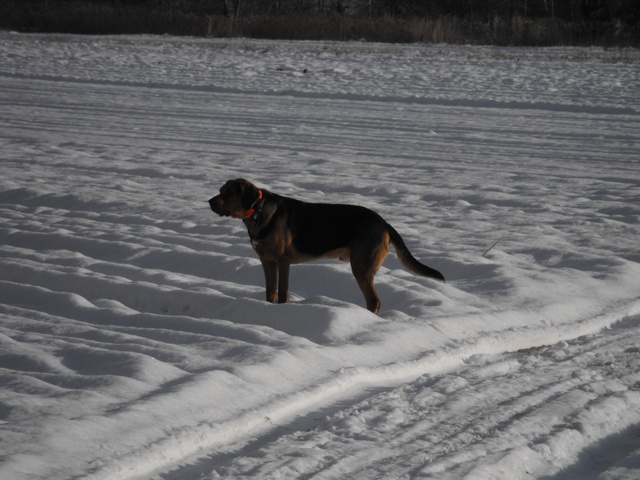 DSCF5026.JPG