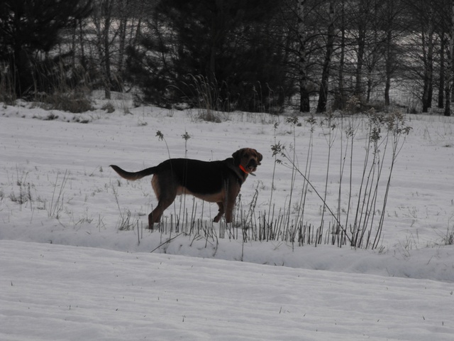 DSCF5029.JPG
