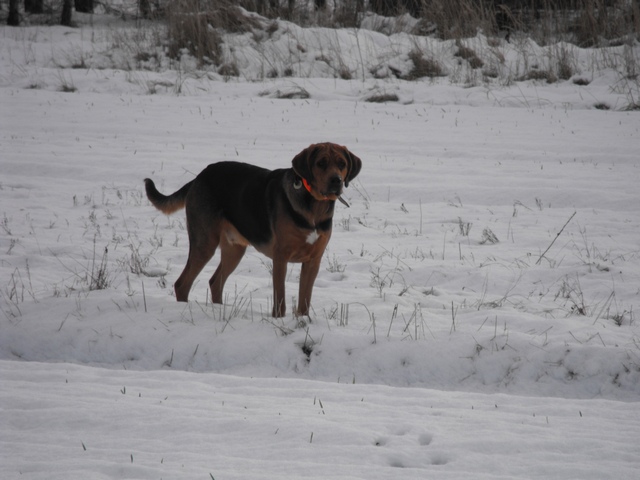 DSCF5031.JPG