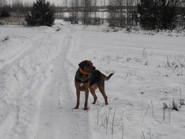 DSCF5032.JPG