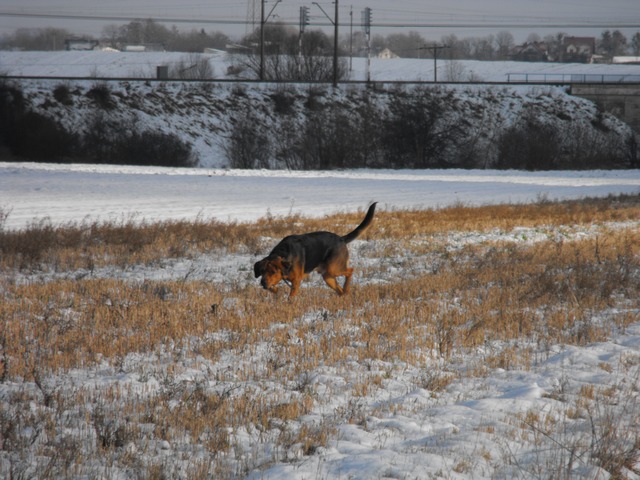 DSCF5033.JPG