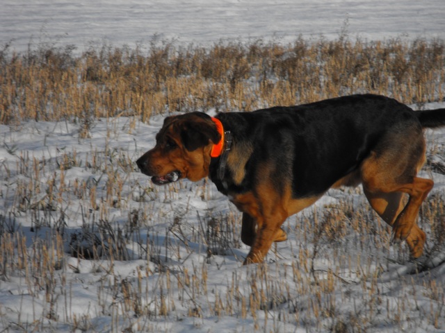 DSCF5035.JPG