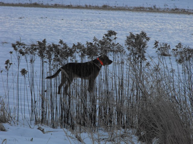 DSCF5036.JPG