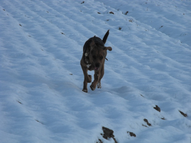 DSCF5041.JPG