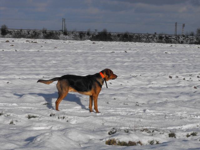 DSCF5043.JPG