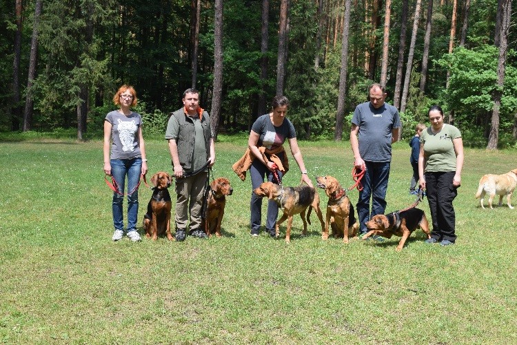 20_OGARZA BRYGADA _BIAŁA 2017_OD LEWEJ _RÓŻA( KLARCIA)PwL_ROZMARYN (ROCKY)PwL_SZPILA OGAROWA ZŁAJA _JAGA Z GOŃCZAKÓW_COOGAREK_MILAN  .jpg