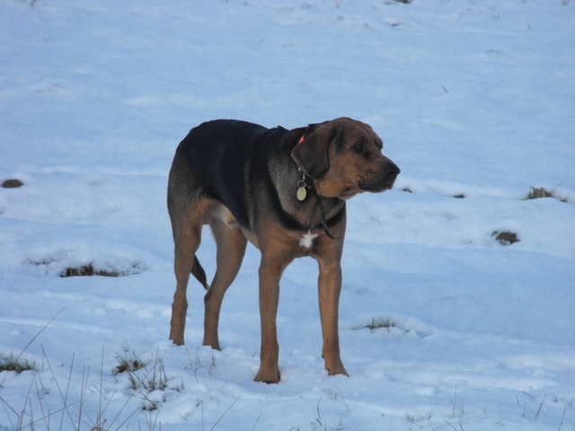 DSCF5047.JPG
