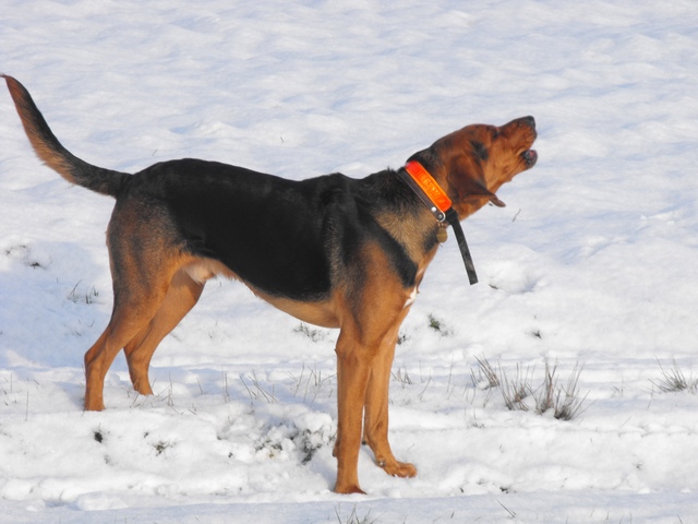 DSCF5048.JPG