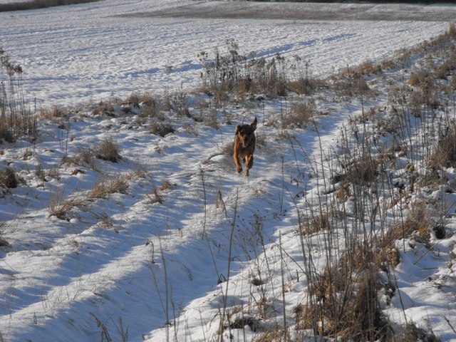DSCF5055.JPG