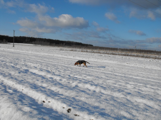 DSCF5060.JPG