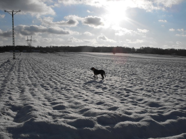 DSCF5062.JPG