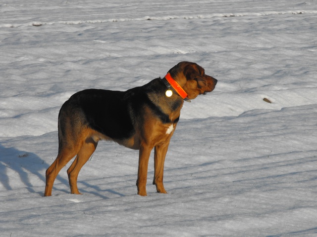 DSCF5064.JPG