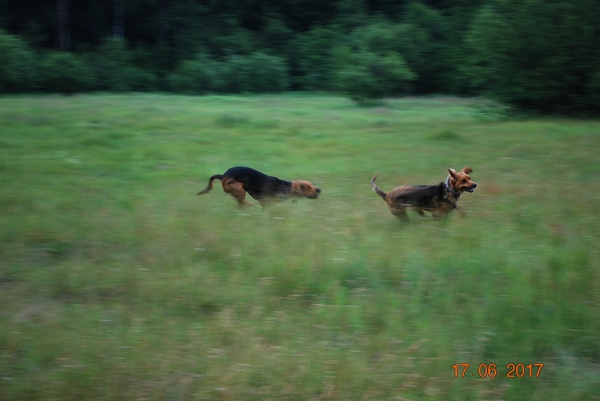 Szpila i Ja wśród traw