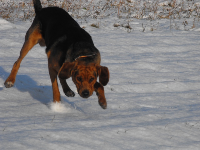 DSCF5065.JPG