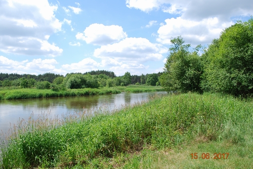 DSC_0020.JPG