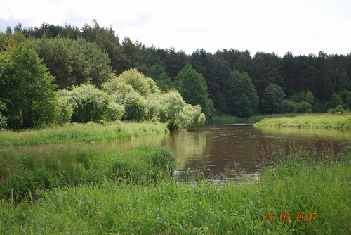 DSC_0009.JPG