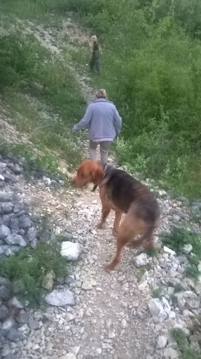 WP_20170624_21_00_41_Pro.jpg