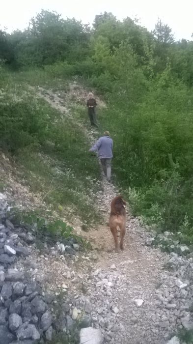 WP_20170624_21_00_48_Pro.jpg