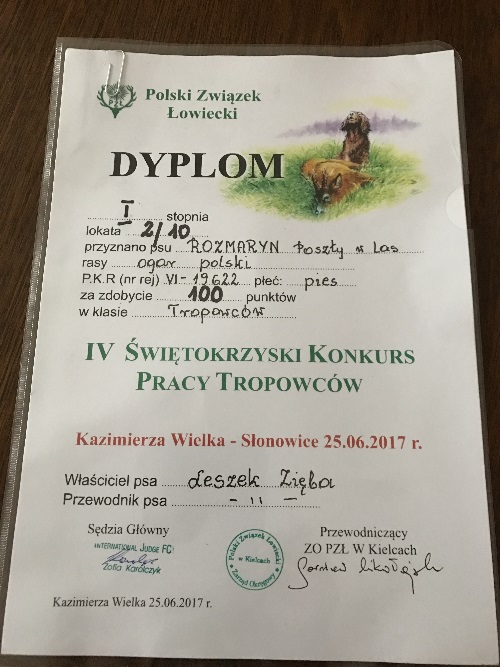 10_Rozmaryn_dyplom.jpg