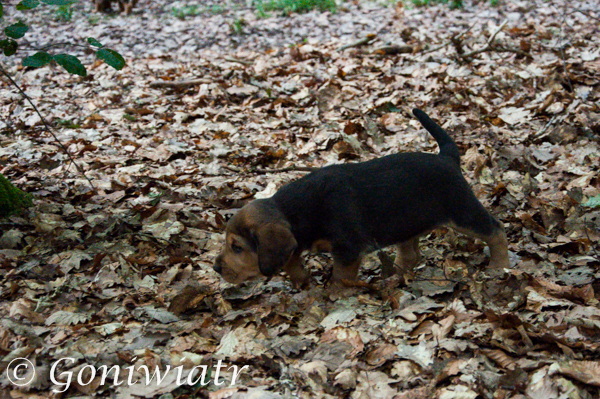 DSC_0194-2.jpg