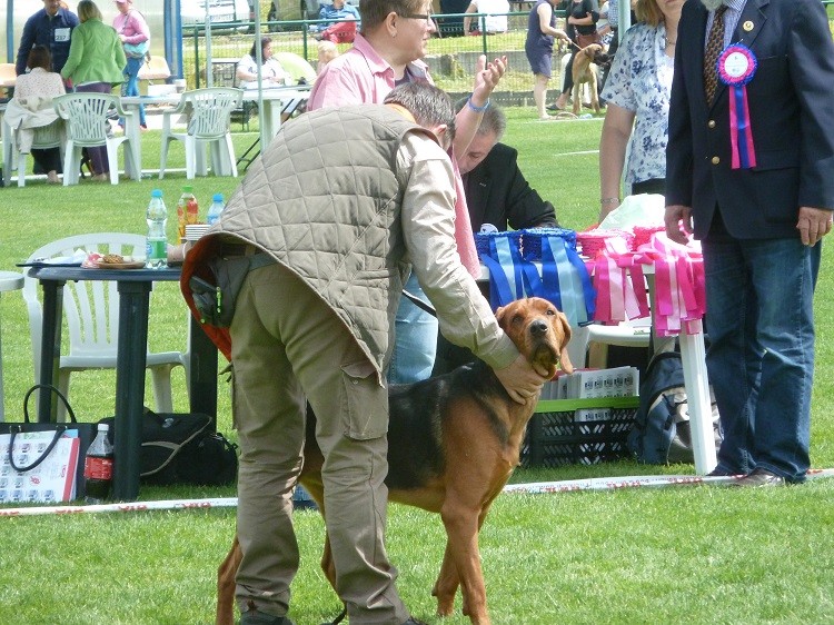P1060227zm.JPG