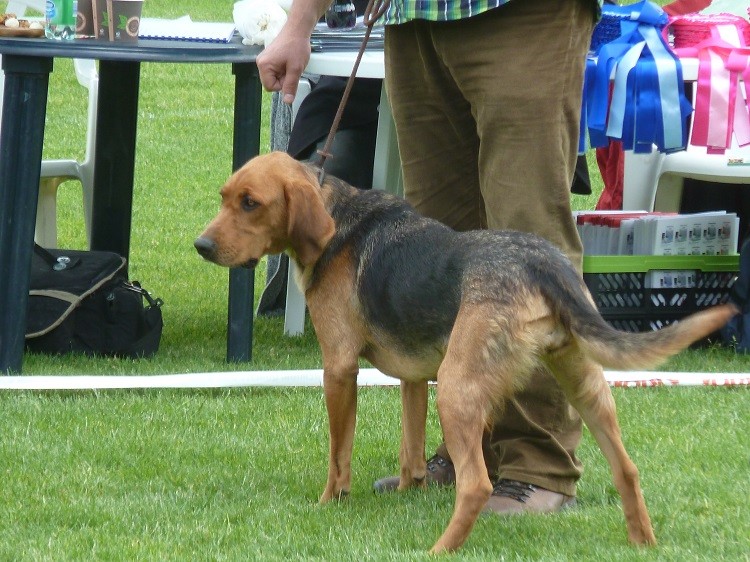 P1060260zm.JPG