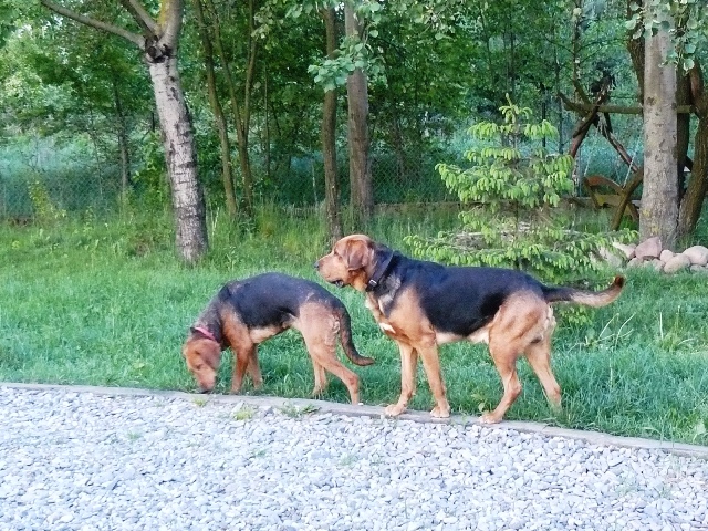 P1540584.JPG